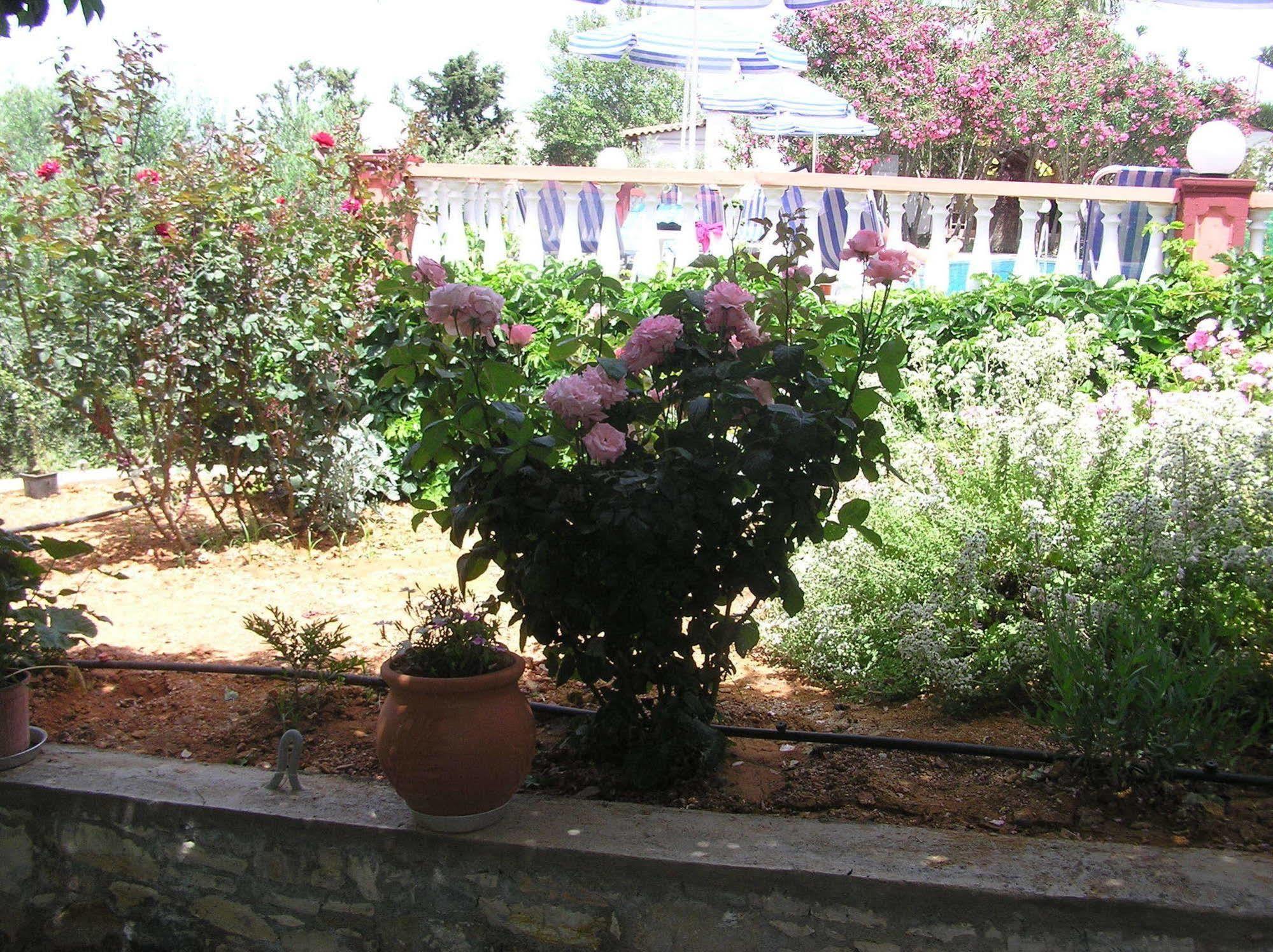 Knossos Aparthotel Pánormos Buitenkant foto